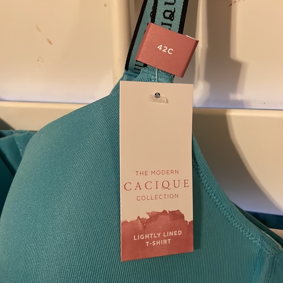 Lane Bryant CACIQUE lightly lined t-shirt bra.  Size 42C - Picture 5 of 5